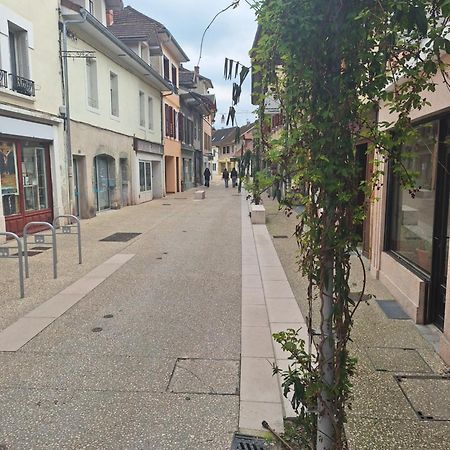 Chez Eric - L'Atypique Apartment Rumilly  Luaran gambar