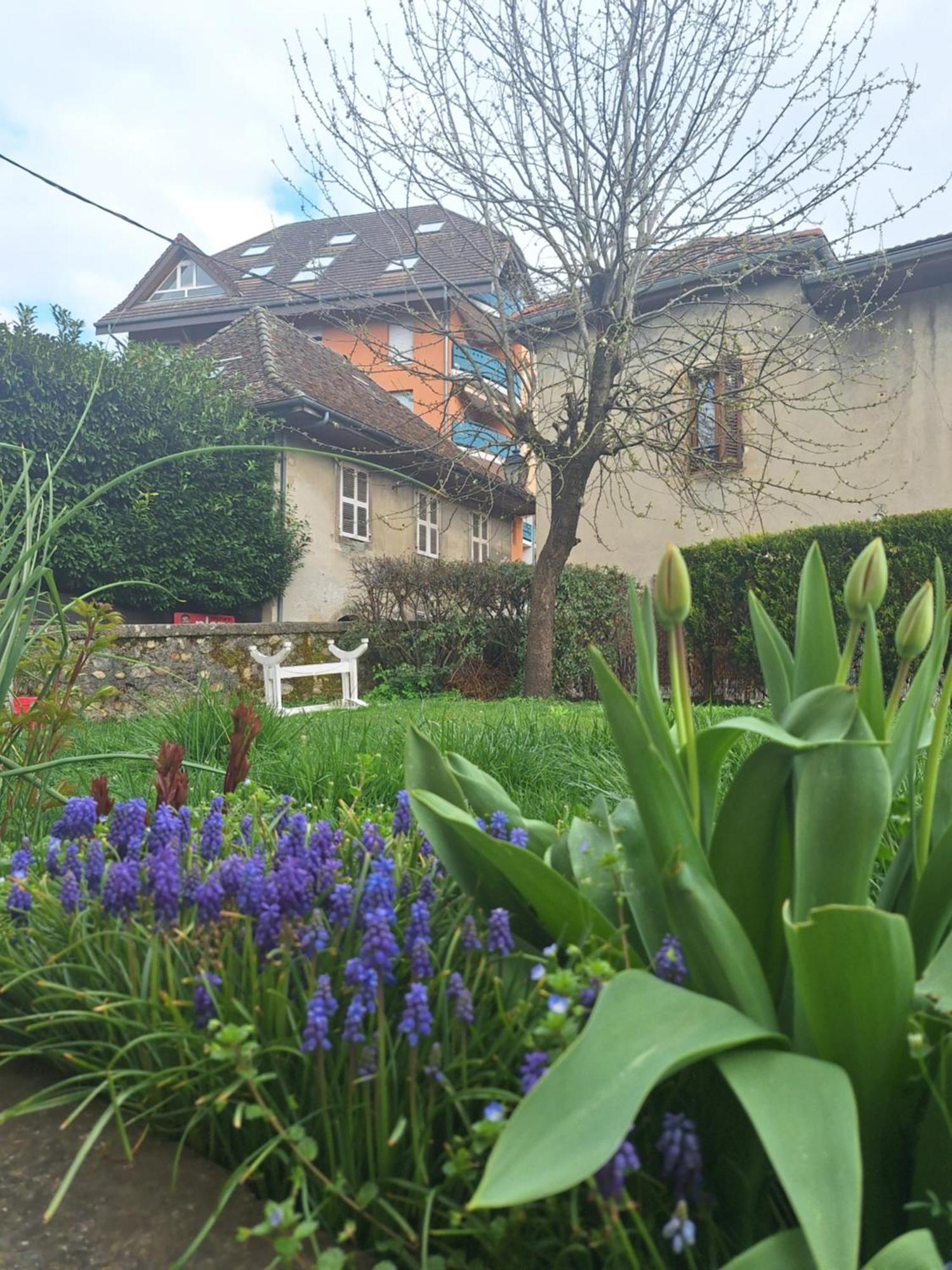 Chez Eric - L'Atypique Apartment Rumilly  Luaran gambar